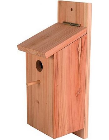 Nestkast Koolmees...