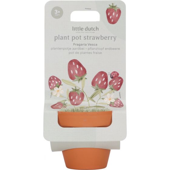 Little Dutch Plantenpotje...