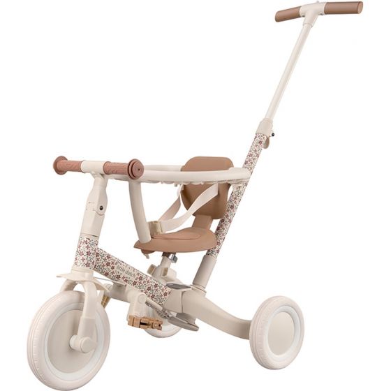 Little Dutch 4 in 1...