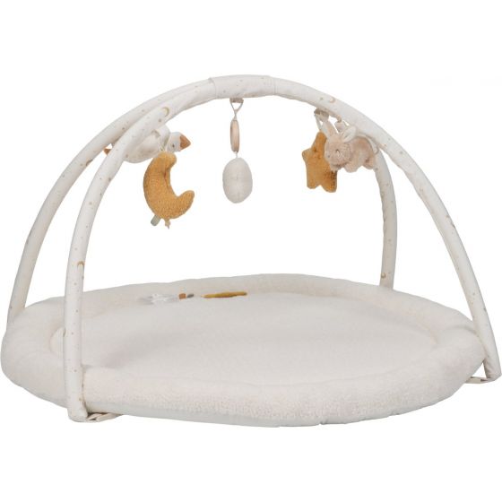 Little Dutch Newborn...