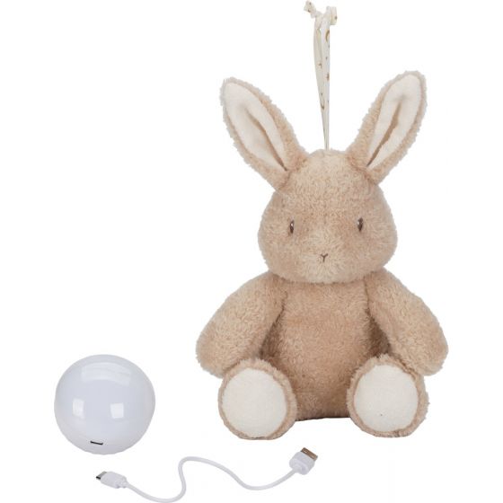 Little Dutch Newborn...