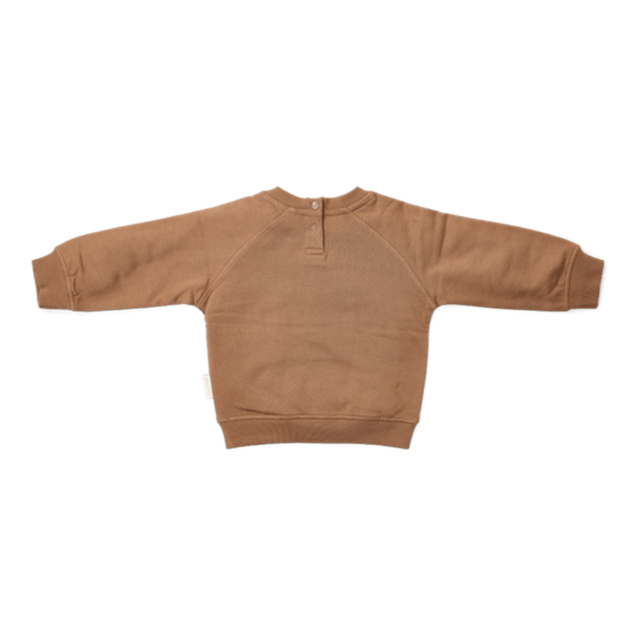 Little Dutch Trui Brown - maat 80